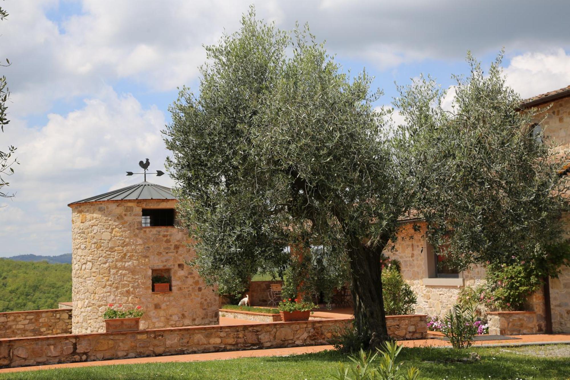 Colombaio Di Cencio Apartment Gaiole in Chianti Exterior photo